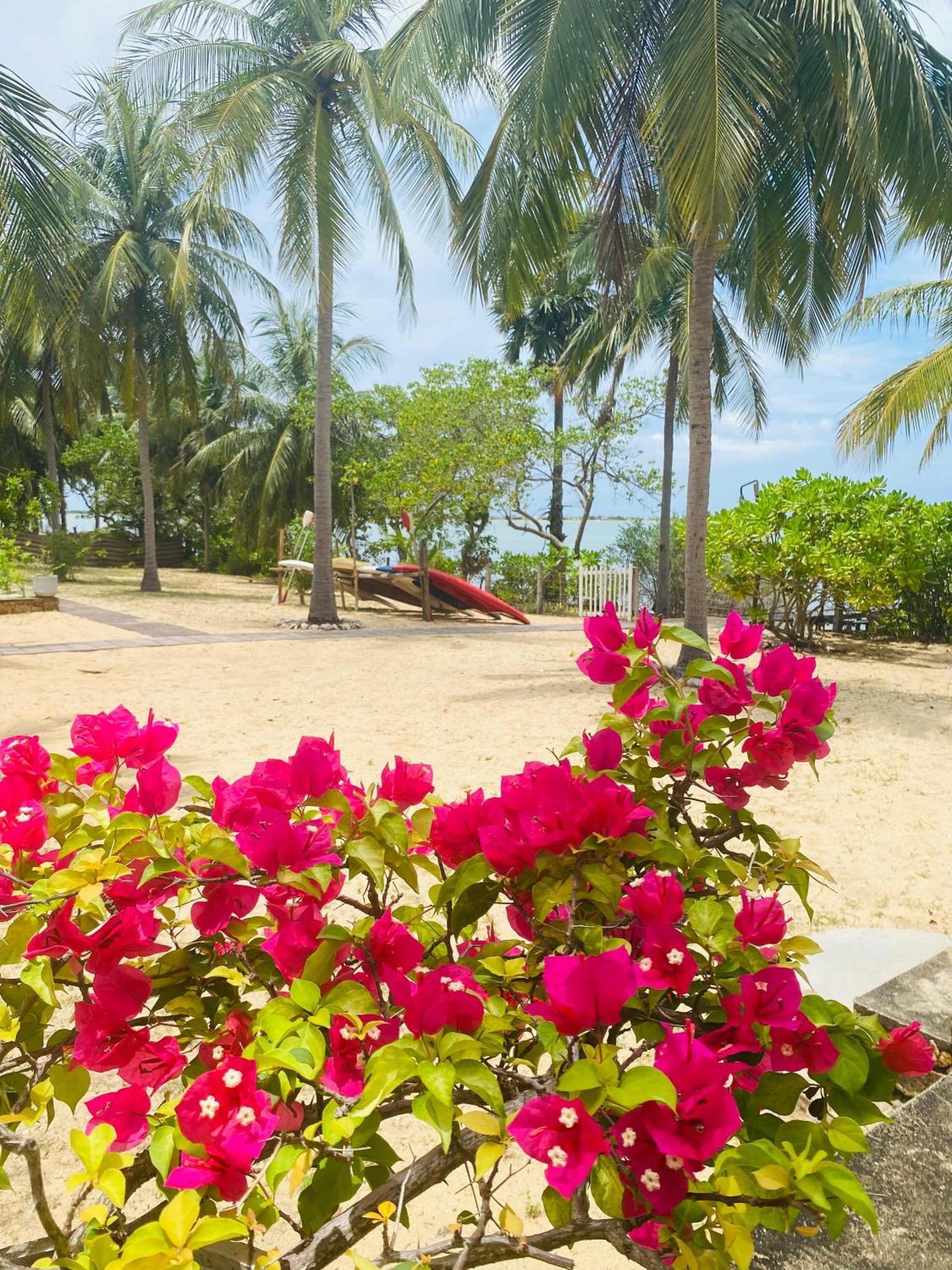 Villa Sethawadi Hotel And Kitesurf Centre Kalpitiya Extérieur photo